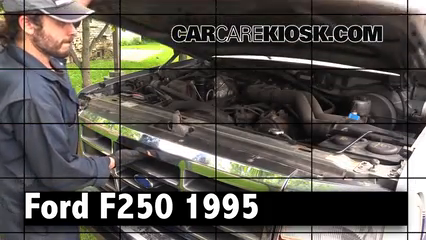 1995 Ford F-250 XL 7.5L V8 Standard Cab Pickup (2 Door) Review